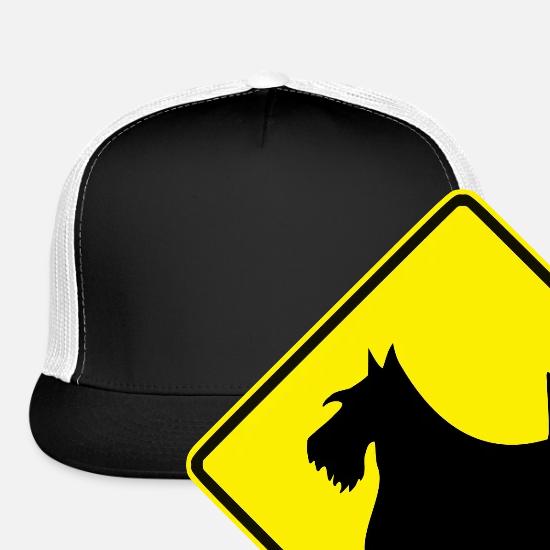 scottish terrier hat